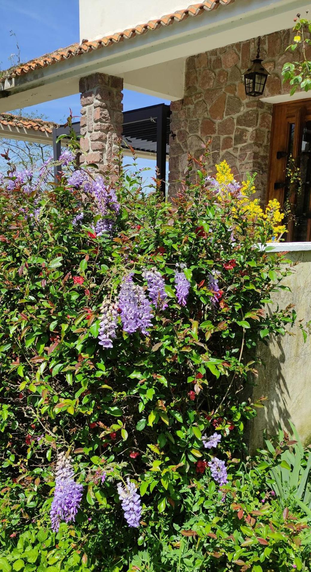 مبيت وإفطار كونفولين 13 Bees المظهر الخارجي الصورة