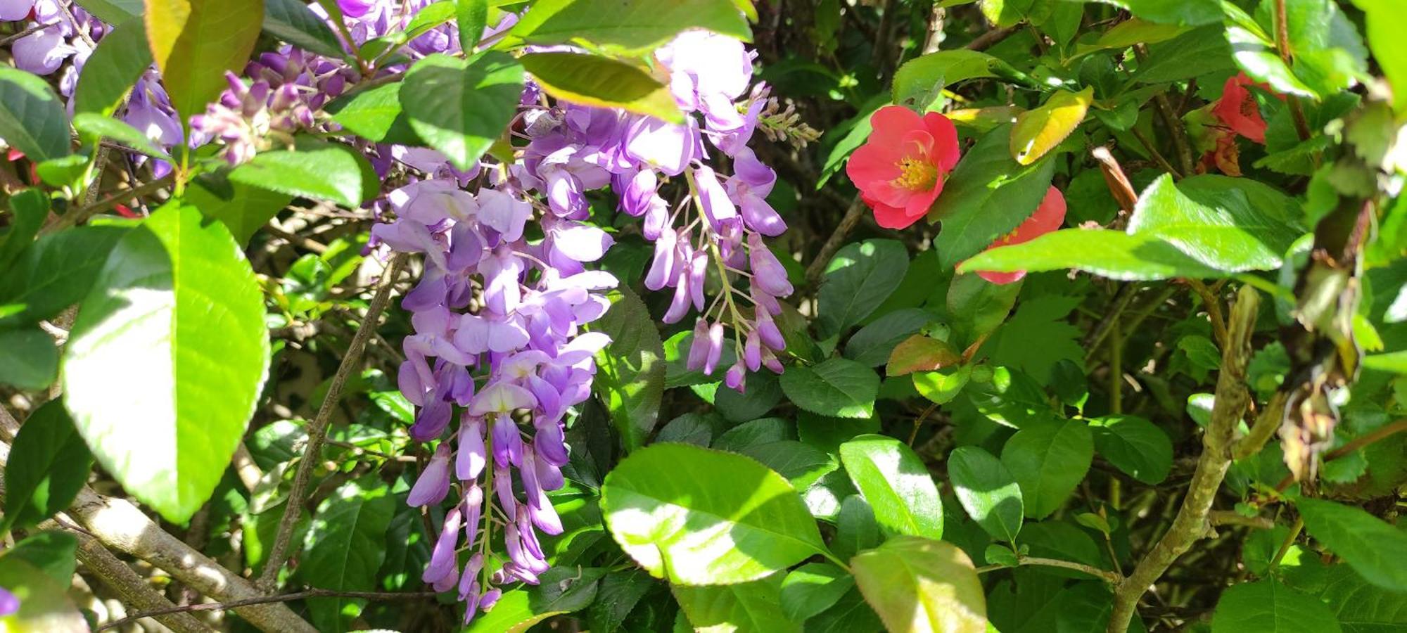 مبيت وإفطار كونفولين 13 Bees المظهر الخارجي الصورة