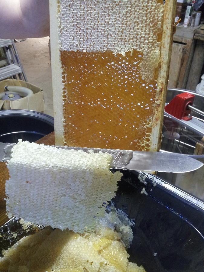 مبيت وإفطار كونفولين 13 Bees المظهر الخارجي الصورة