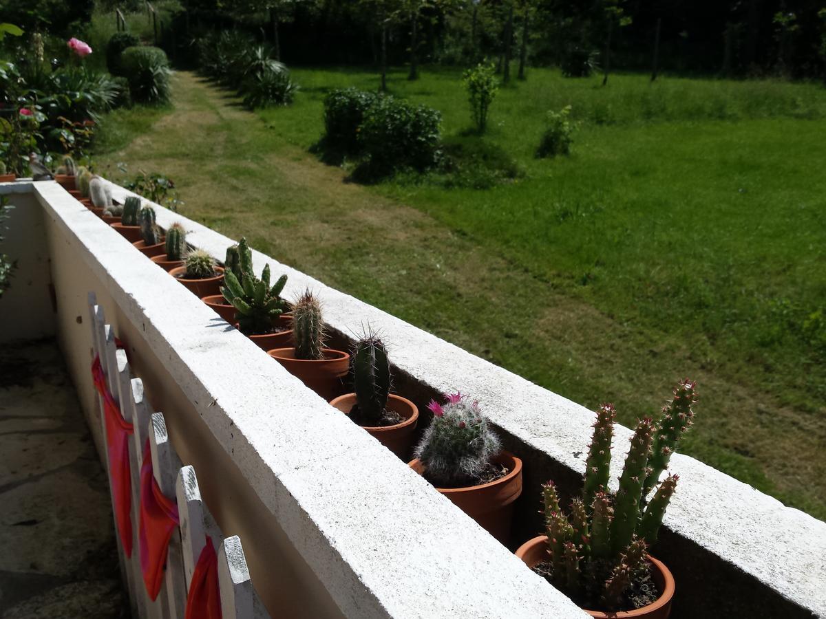 مبيت وإفطار كونفولين 13 Bees المظهر الخارجي الصورة